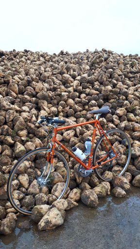 Bieten, bieten en nog eens bieten...