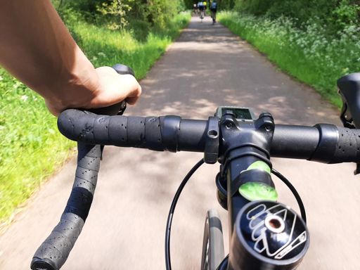 Kikker in de Droomvlucht