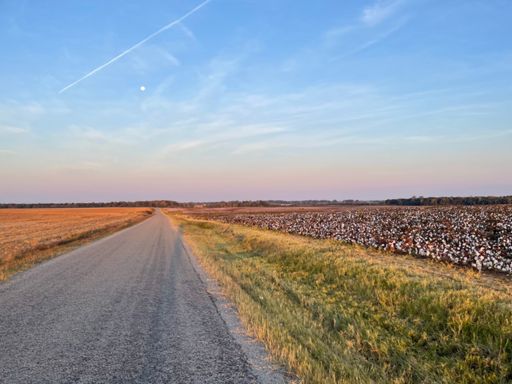 Surrounded by cotton and lit by the moon, epic.