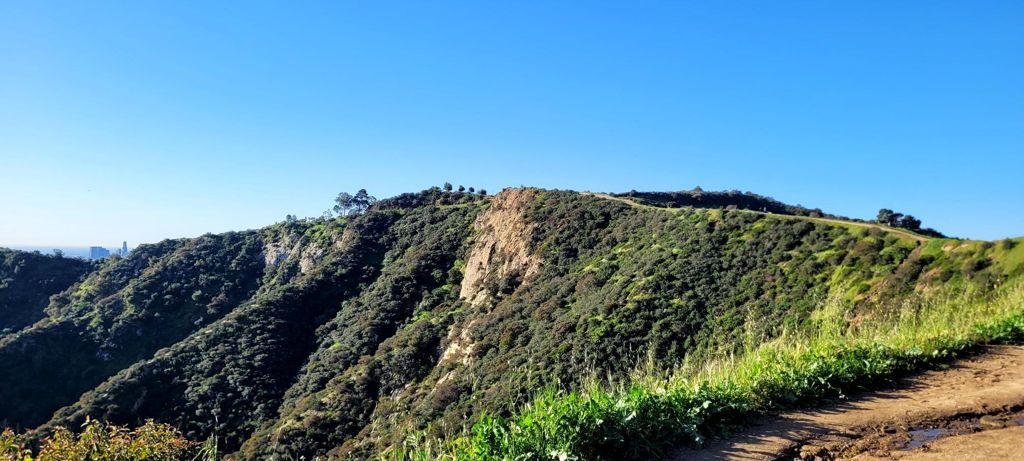 NBB run - Lake Hollywood: фото 98