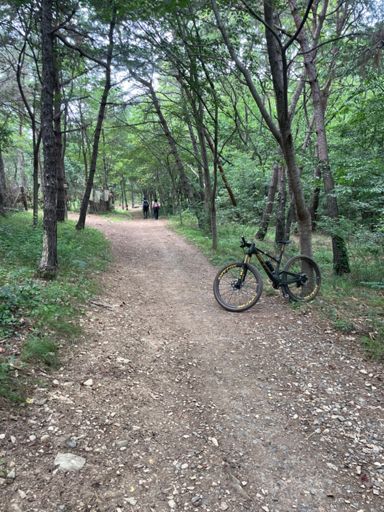 여기서 구르기 😭🤯