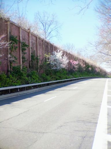 Oh look it's nice and pink but not as nice as fall colors