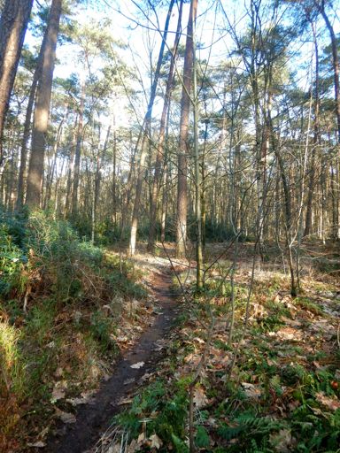 Campus Kristus-Koning, Brecht.