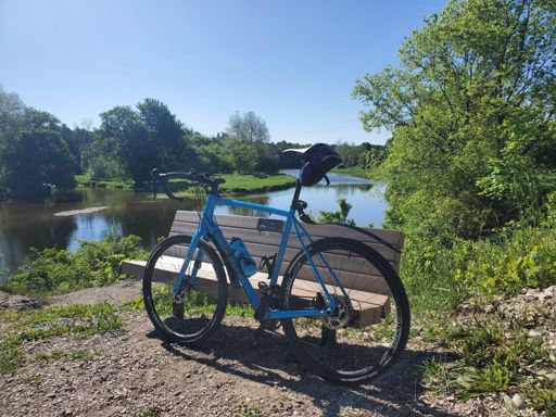 Jackie Blue having a well earned rest by the Maitland river.