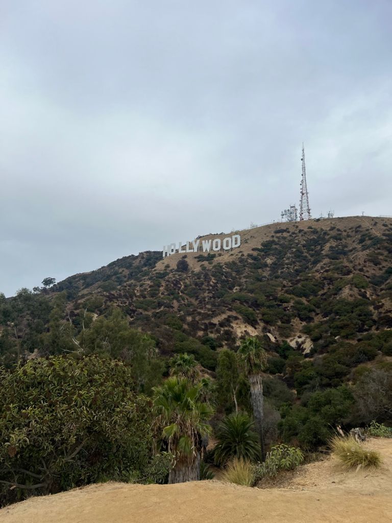 NBB run - Lake Hollywood: фото 152