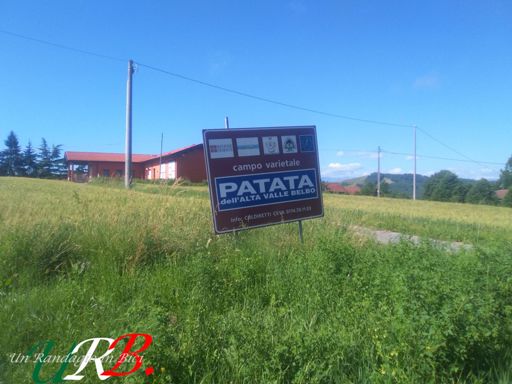 La Patata di Langa e unica