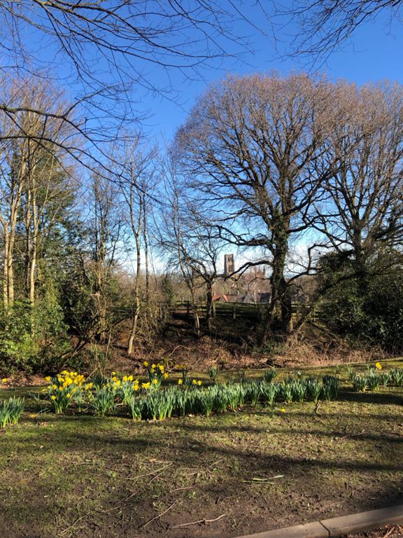 Whitworth Lane 25.3 km Cycling Route on Strava