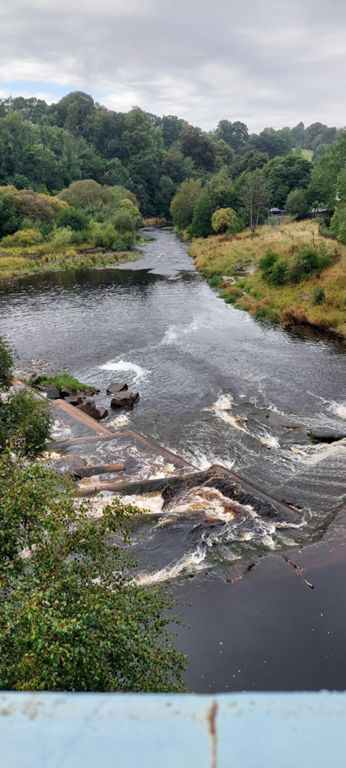 River Avon fish pass, (salmon ladder) Millheugh. https://www.youtube.com/watch?v=l-LsDFL2Y6s