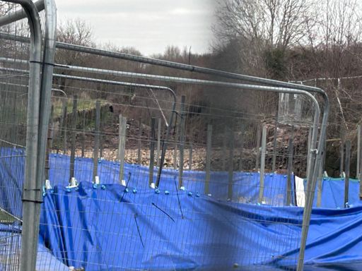 Best picture I could get 2 fences 