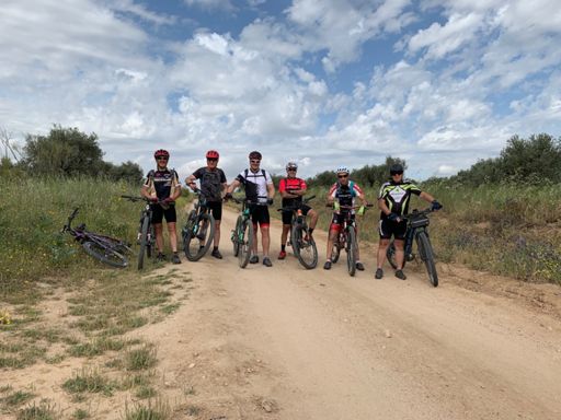 De Casarrubios al Álamo