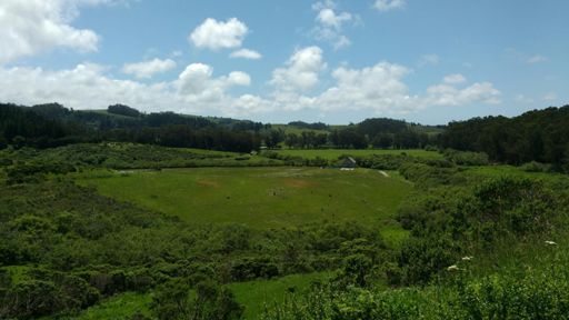 Stages Valley -- very bucolic in the verdant spring