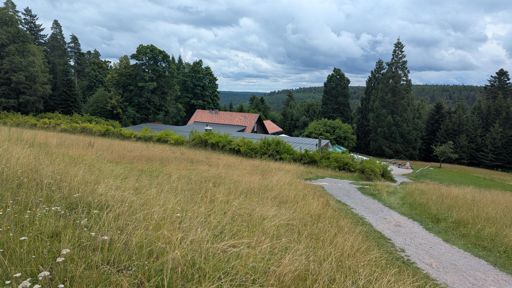 Die Grünhütte - vielleicht kehre ich nächstes Mal ein 🤣
