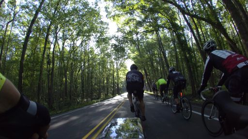 Some stretches of road were beautiful.