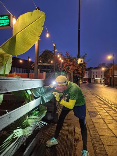 Ralph feasting in the rainforest!