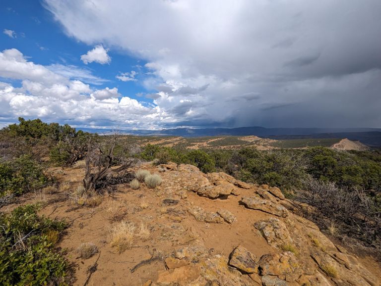 Rain, slickrock, sand, elk?!