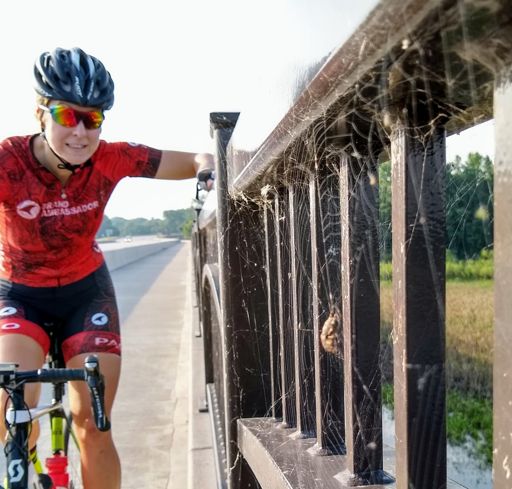 Eeeek! Spider bridge!