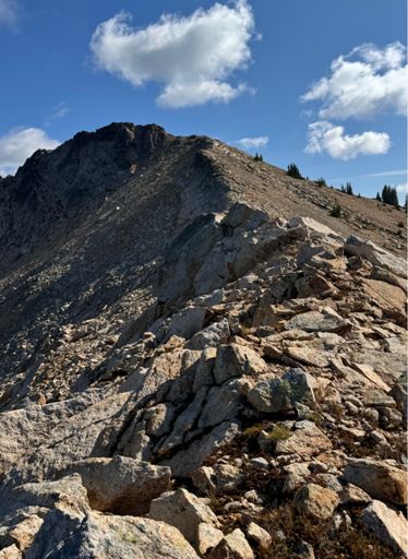 Upper part of Porcupine ridge. 