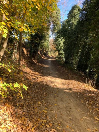 Casalcicogno-Pigneto