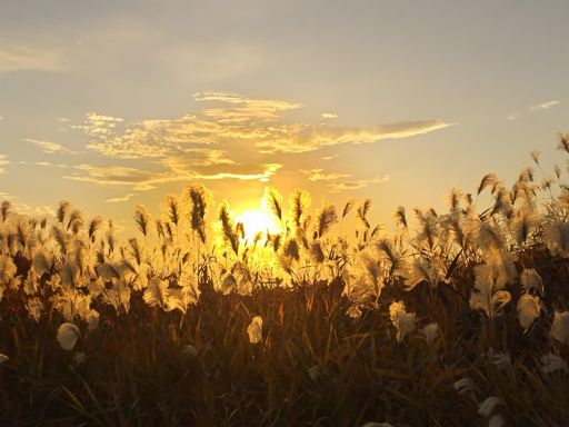 防災ステーションごか　夕焼け