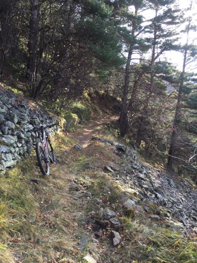 Le GR10 bien roulable