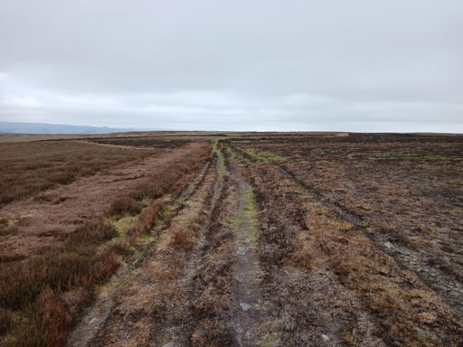 Miles of juicy tracks across the moors...