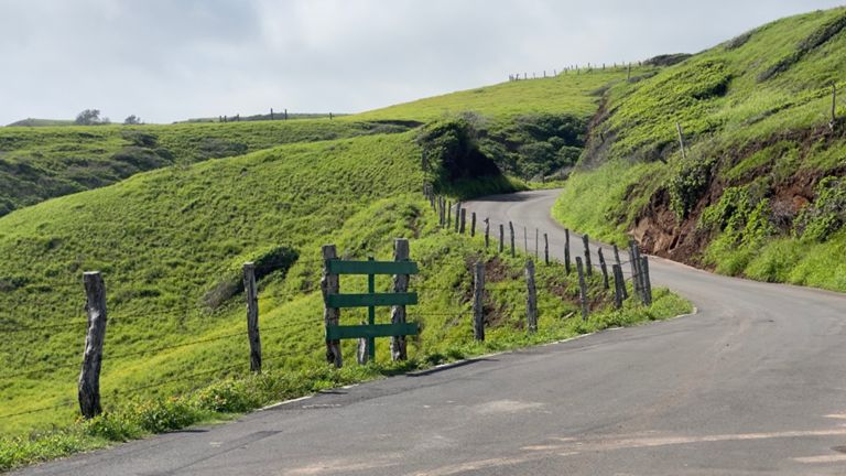 Sunny Day and Waterfalls