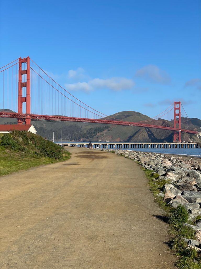 Butterlap (Presidio & Golden Gate Park) photo 110