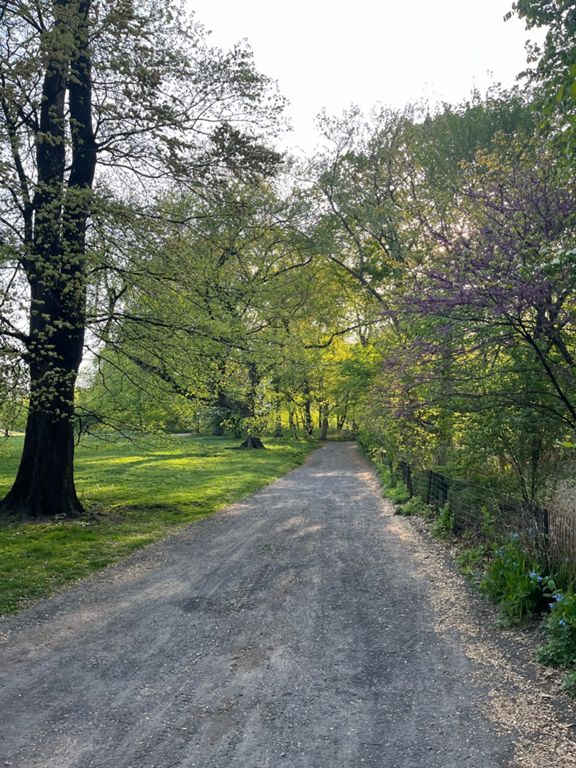 route-highlight