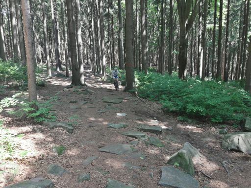 kamenitá sekce u Čtyř palic