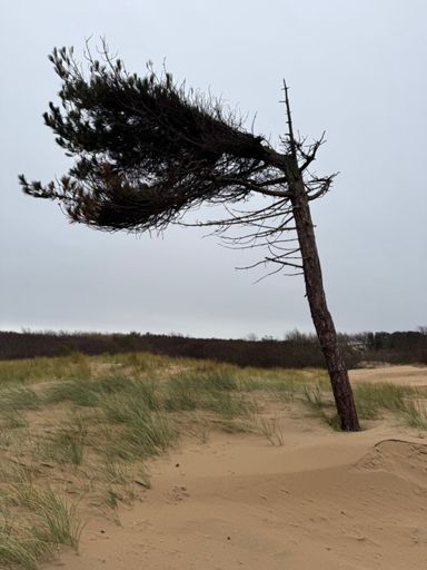 That’s the one!!! 👍