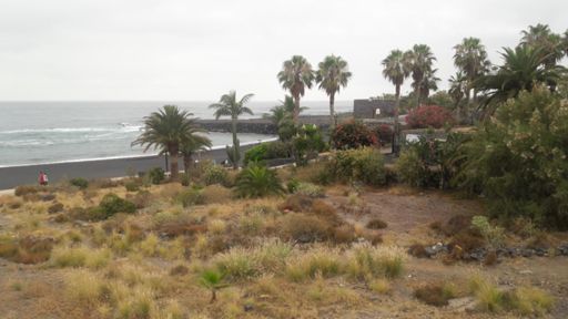 Siguiente parada: Playa Jardín