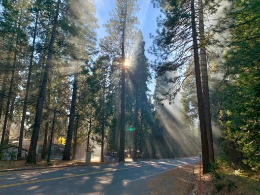 Leaf pile smoke.  Good for photos.  Bad for lungs.