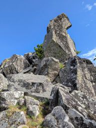 Crapahutage matinal dans les hautes vosges