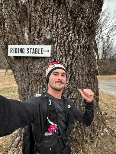 Huge Tree Stump in front of Graves Mountain Lodge — Too bad the tree looks like it fell and was cut down years ago. 