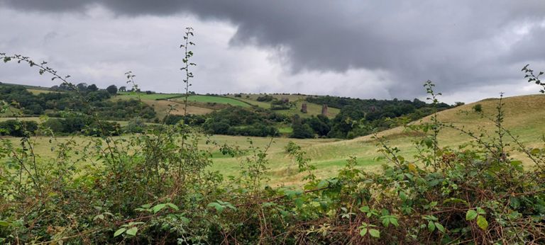 Leaving Stonehouse, pillars of the Stonehouse Viaduct, built 1904 and in use 1905-1968  on yonder hill we would shortly cycle past.  https://stonehouseheritage.co.uk/historical-buildings-landmarks/bridges/ &  https://www.railscot.co.uk/locations/S/Stonehouse_Viaduct/