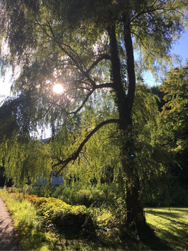 Sprague Rd., Amherst, NH