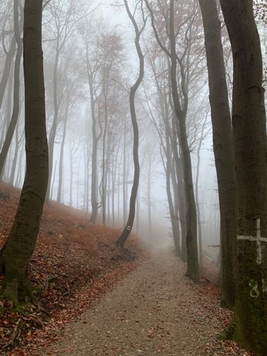 So still wie es aussieht.