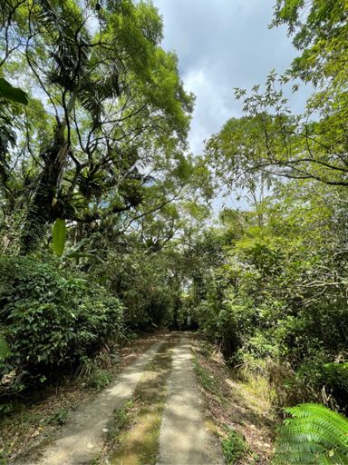如果不是騎車，這條產道慢慢走還蠻清幽的😅