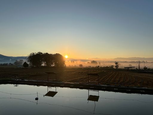 Misty Morning Sunrise Breakfast 