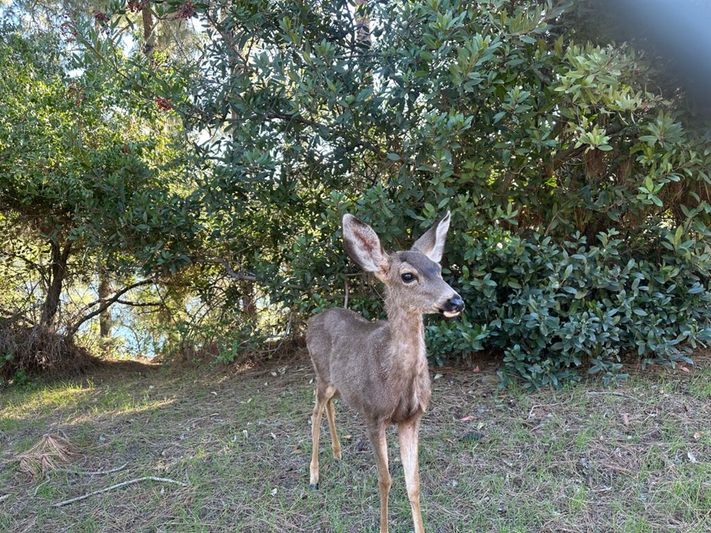 NBB run - Lake Hollywood photo 31