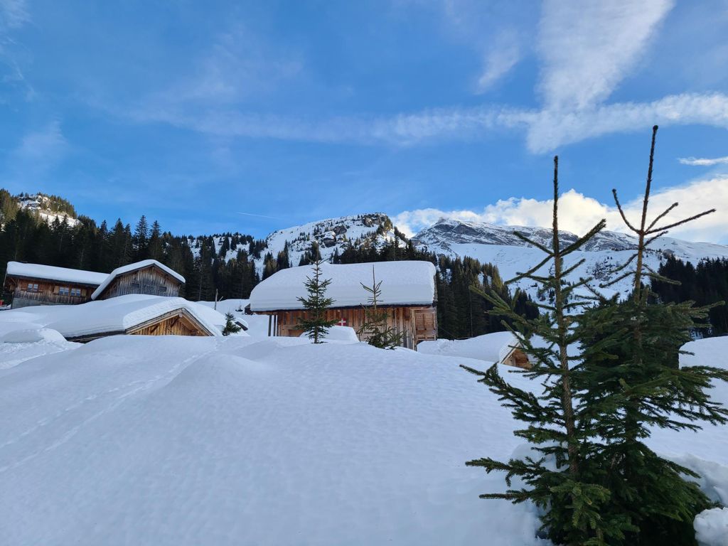 Double-click to expand Avoriaz Skinning — photo 1