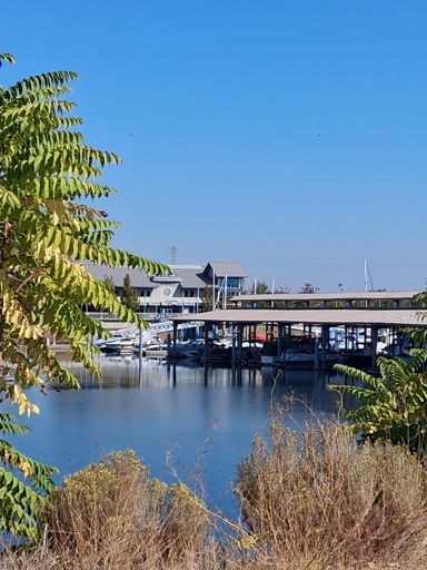 Checked on Our Boat "Beachin" moored at Clover Island 😍