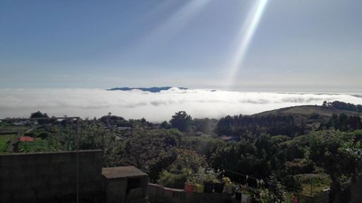 ¿Las montañas flotantes de Avatar?  🤔😅
Fuerte día raro: fresco en el Valle, niebla exagerada en Guamasa y sol brutal en La Esperanza