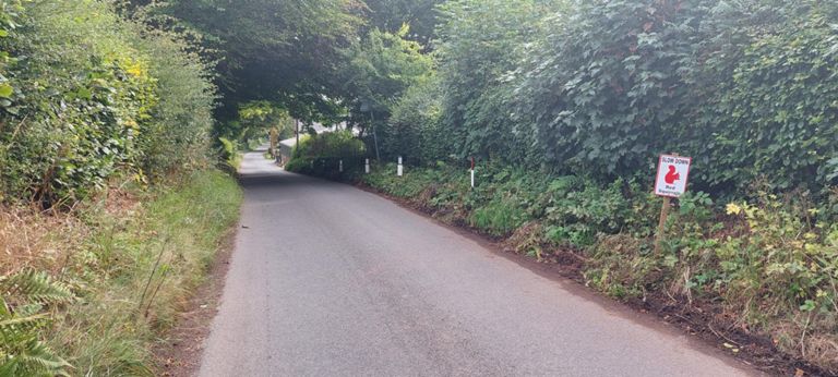 First red squirrel sign I have seen.  By this time, Lorraine had seen red squirrels, which are common in Canada, in Scotland.  I only ever saw a split second of one.
