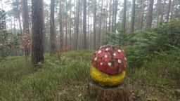 Château Kagenfels et Heidenkopf