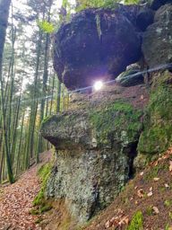 Course à pied le midi