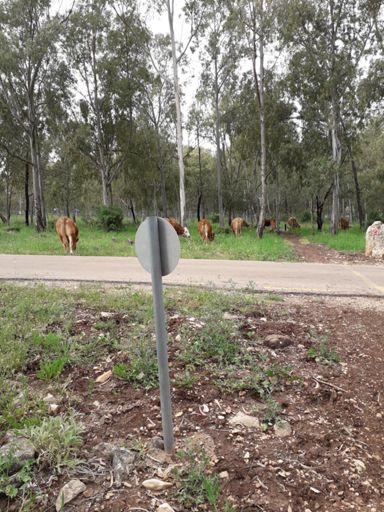 לא זזים😤😤