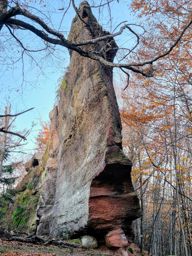 Dans les coins de Wuestenberg