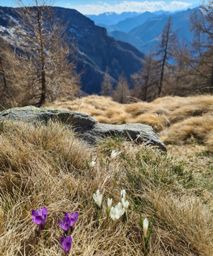 Maggia à Madom da Sgióf