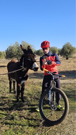 Con mi burrito sabanero